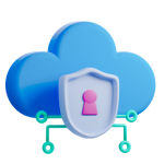 DDoS Protection