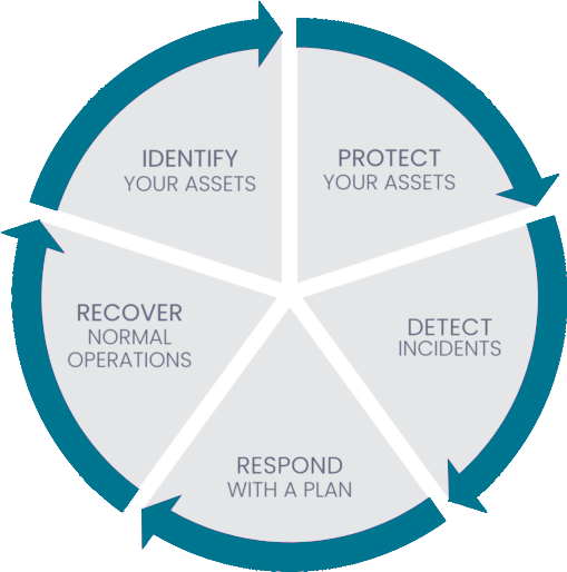 Why invest in MDR